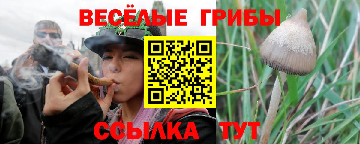 Псилоцибиновые грибы мицелий Лыткарино