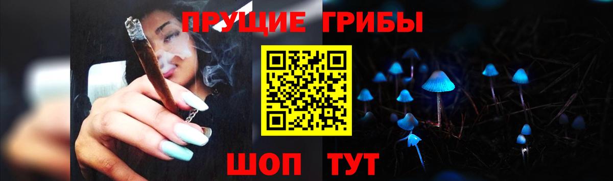 Лыткарино  Псилоцибиновые грибы MAGIC MUSHROOMS  Псилоцибиновые грибы мухоморы  Вход с VPN 