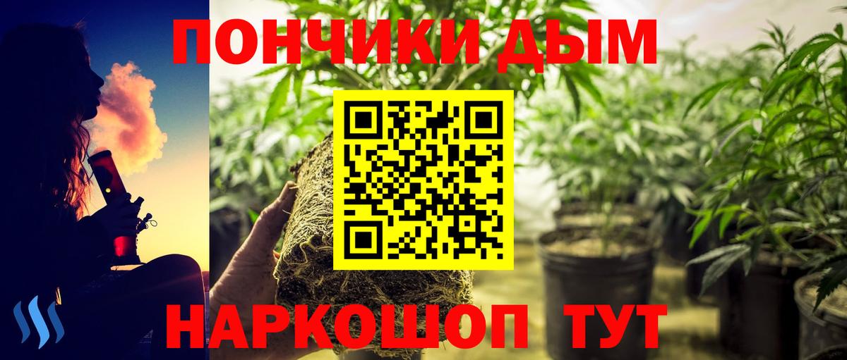 Бошки марихуана гибрид Лыткарино